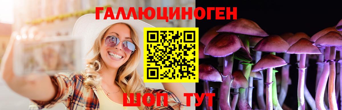 Псилоцибиновые грибы Psilocybine cubensis Дедовск