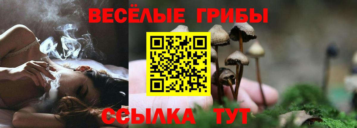 Дедовск  Псилоцибиновые грибы мицелий  Вход с VPN 